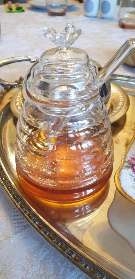 Bed and Breakfast La Tour Noble Saint-Saturnin  Екстер'єр фото